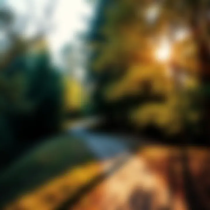 Path to Self-Discovery A winding path symbolizing the journey of individuation, surrounded by trees and sunlight, inviting reflection.
