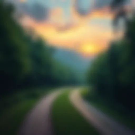 A serene scene showing two diverging paths in a forest, symbolizing the difference between judgement and observation in spiritual growth.