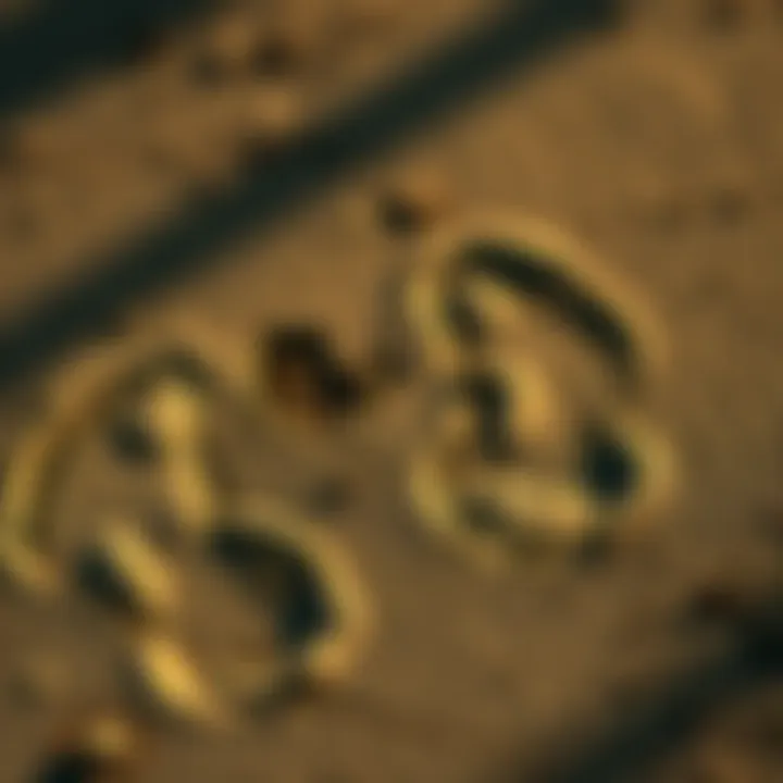 Footprints measuring 14.5 inches left in the ground, symbolizing the evidence of Bigfoot from 1967.