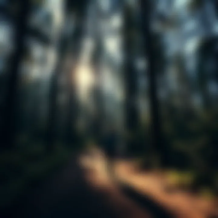 A peaceful forest escape A person standing on a trail in a serene forest, surrounded by tall trees and soft sunlight filtering through the leaves, looking contemplative.