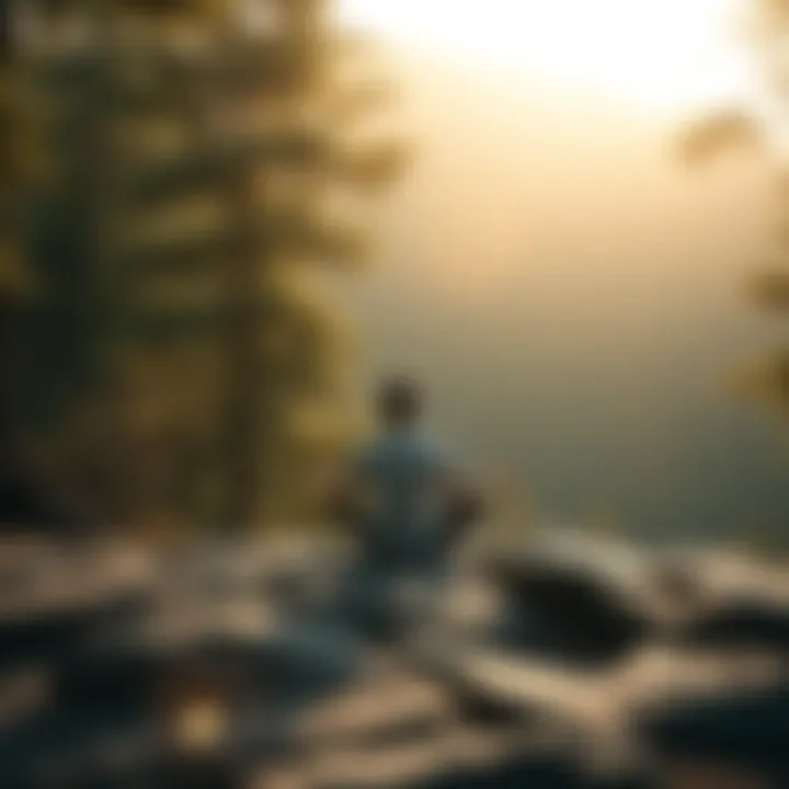 A person sitting cross-legged on a rock, meditating in a serene natural setting surrounded by trees and sunlight.