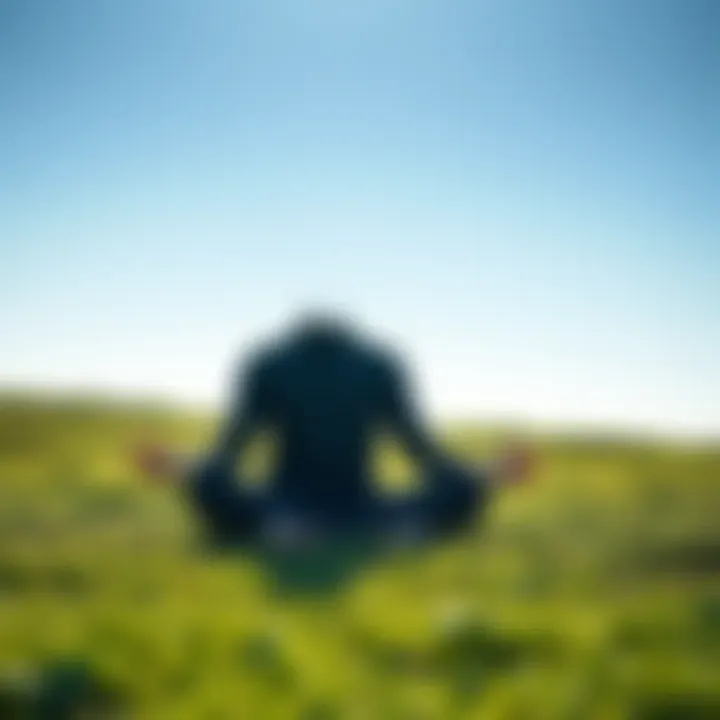 A person sitting cross-legged on a grassy field, practicing meditation under a clear blue sky, embodying tranquility and Taoist philosophy.