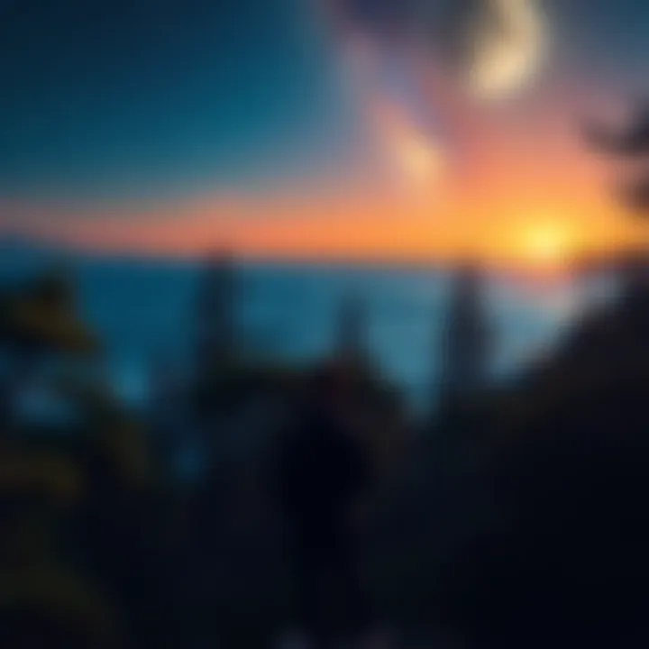 Person observing nature at night A person gazing at the stars and moon above the sea, surrounded by trees and nature, reflecting on spirituality and connection to animism.