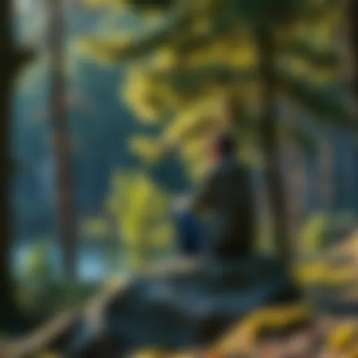 A person sitting on a rock in a forest, deep in thought while surrounded by trees and nature.