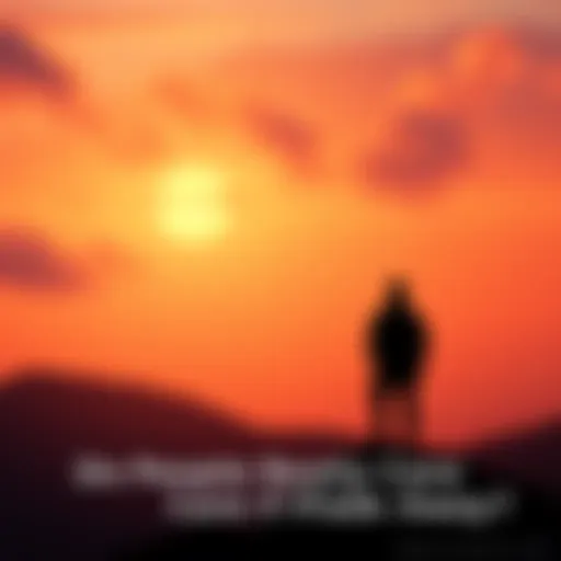 A silhouette of a person sitting on a rock, looking out at a vast horizon, symbolizing thoughts on existence and connection.