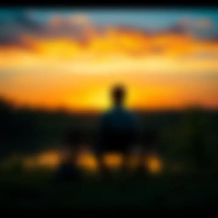 A person sitting alone on a bench, looking pensively at a sunset, symbolizing contemplation after loss.