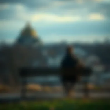 A person sits alone on a bench, gazing into the distance, reflecting on their emotions related to the concept of no-self and feelings of sadness.