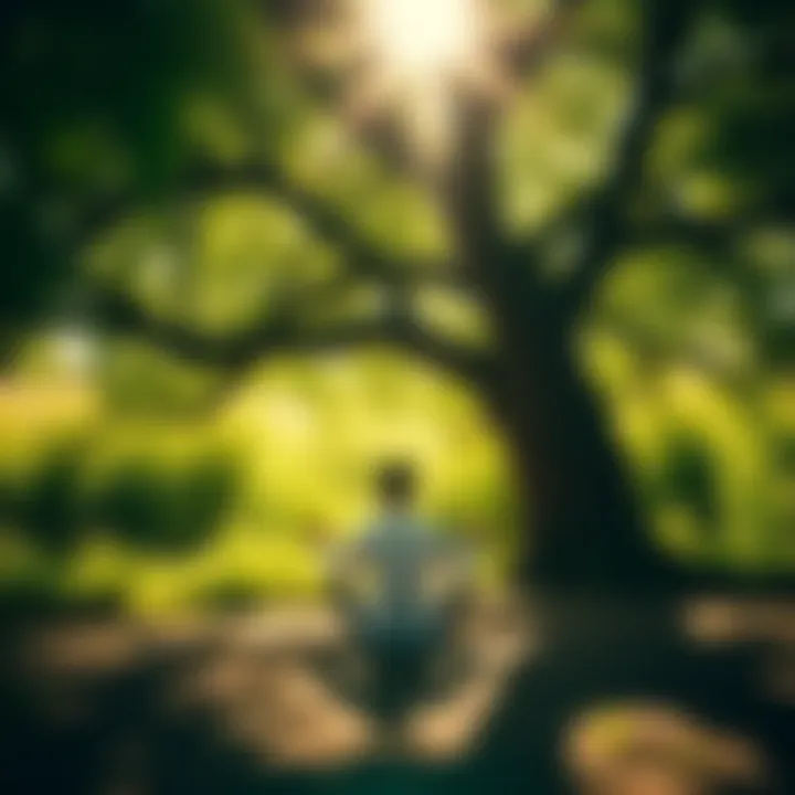 A person sitting cross-legged under a tree, meditating peacefully, surrounded by greenery and sunlight, reflecting on selfhood and clarity.