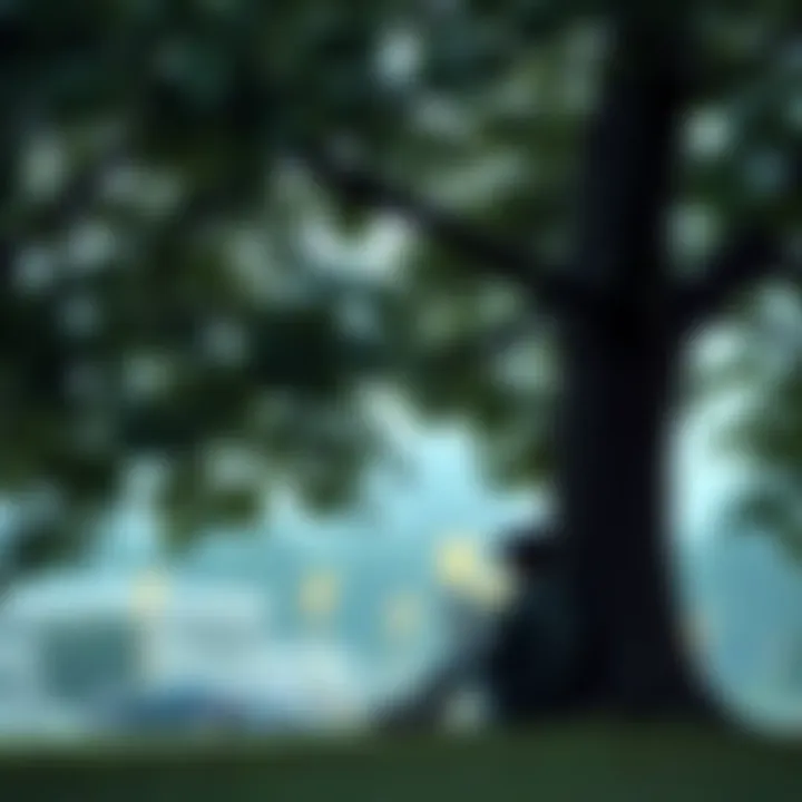 A person sits peacefully under a tree, reading a book, reflecting on the balance between knowledge and fear.