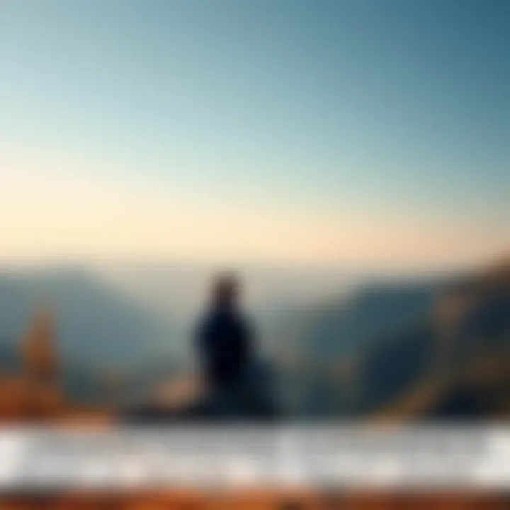 A person sits on a rock in a serene natural setting, looking out at a landscape, contemplating their experiences.