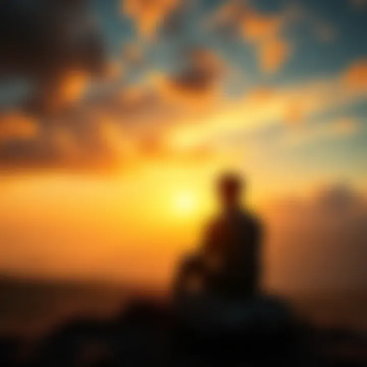 A person sitting on a hilltop, looking at a sunset, pondering their life experiences and perceptions.
