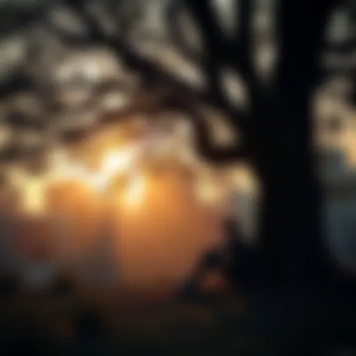 A person sitting under a tree, contemplating life and death, with soft light filtering through branches