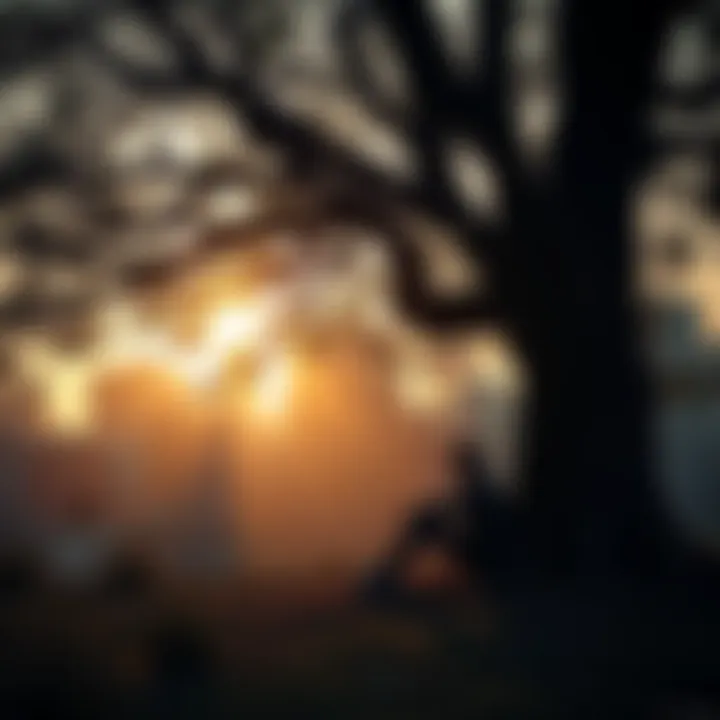 A person sitting under a tree, contemplating life and death, with soft light filtering through branches