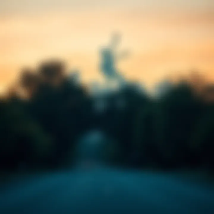 Unusual squared shadows cast by trees in a lane