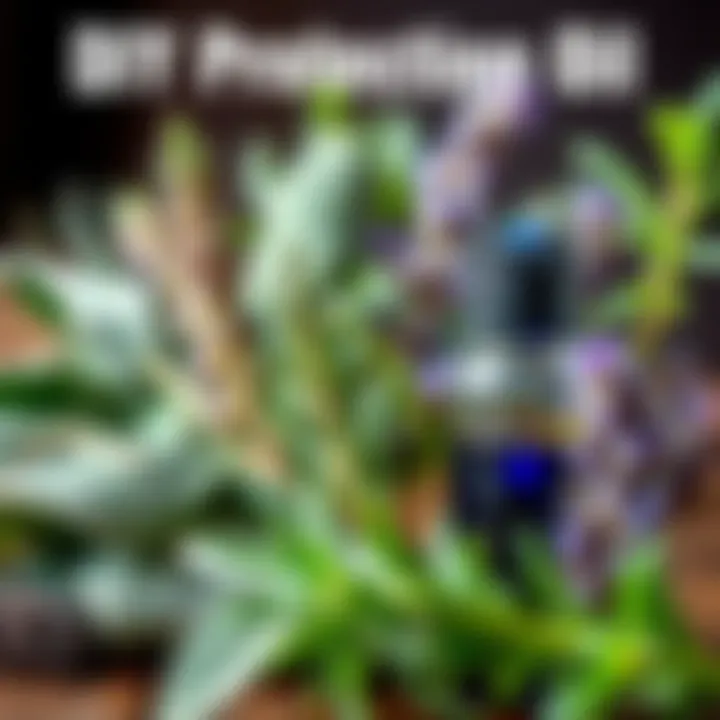 DIY Protection Oil Ingredients A close-up of fresh sage, rosemary, and lavender leaves with a small bottle for protection oil preparation