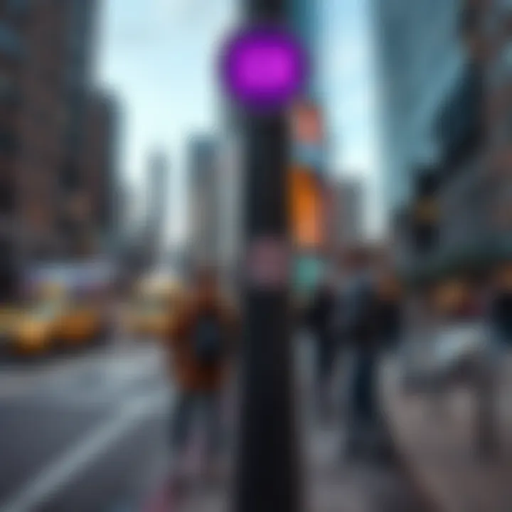 A close-up of a purple line marked as DC on a street near Chicago, with curious people discussing its meaning nearby.