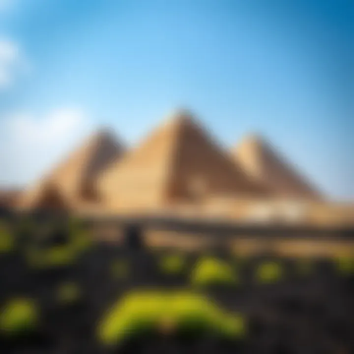 A view of the pyramids surrounded by lush black soil, representing agriculture and ancient knowledge in Egypt.