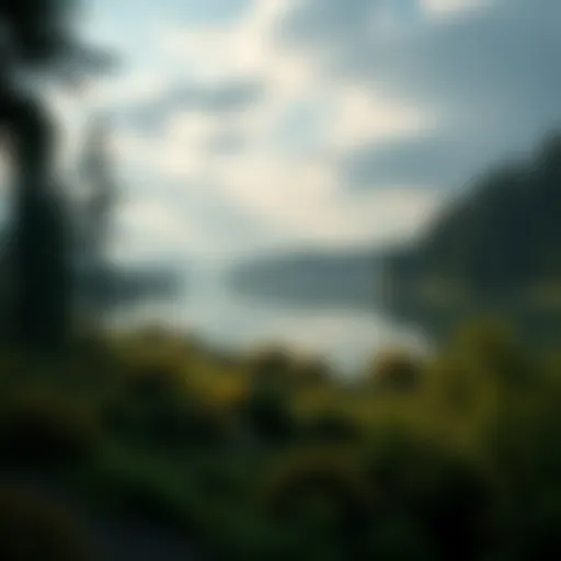 A serene nature scene with a calm lake surrounded by trees, symbolizing peace and solitude.