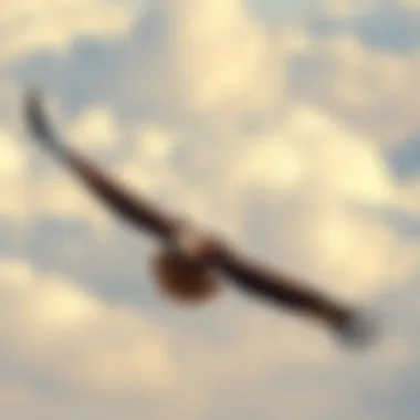 A large 15-foot bird soaring in the sky near a power plant, resembling a hawk, with wings spread wide and a backdrop of clouds.