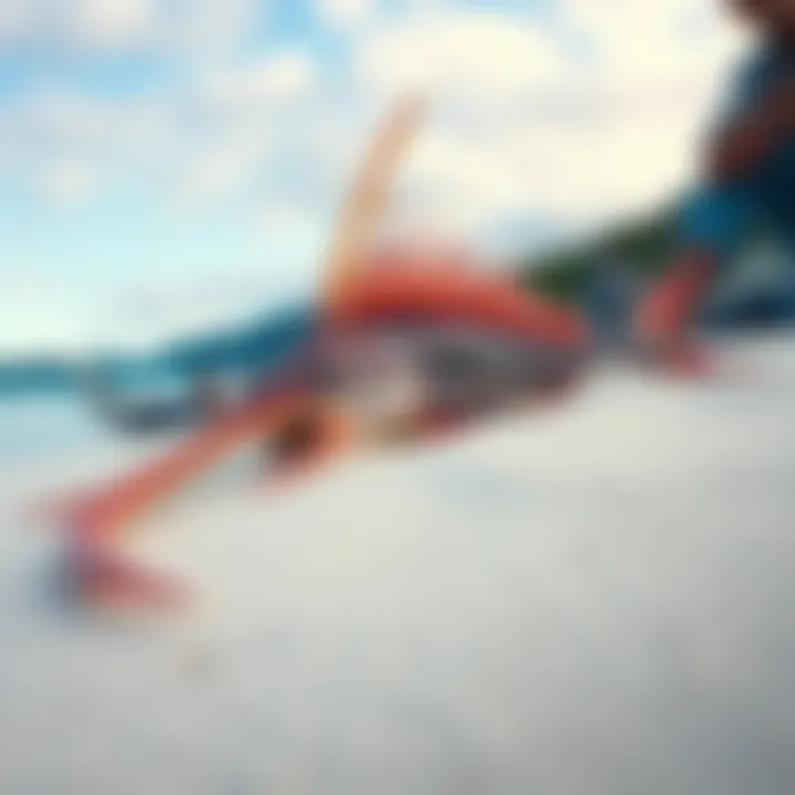 Rare Oarfish on Beach A rare oarfish washed up on the sandy beach in Tasmania, drawing attention from locals and marine experts.