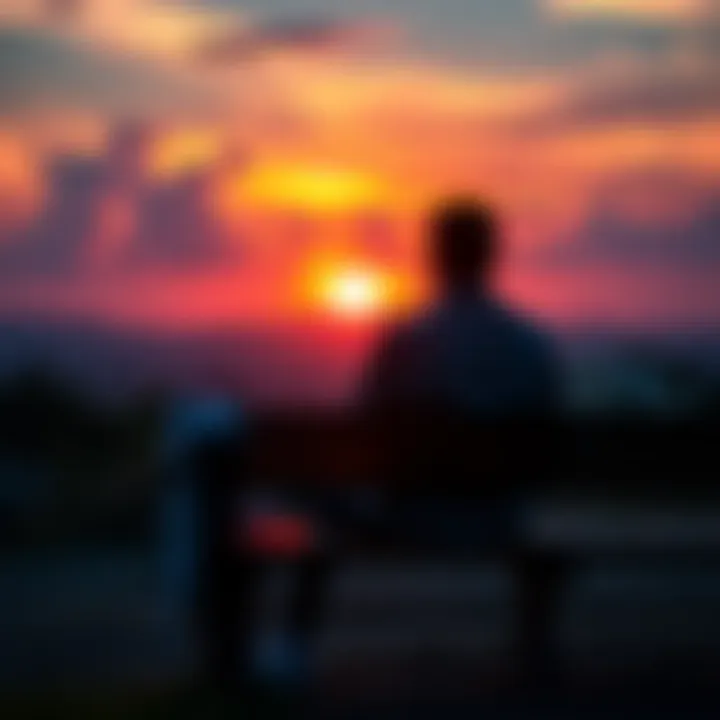 A person sitting on a bench, looking at a sunset and reflecting on their life experiences.