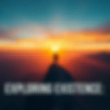 Reflection on Existence A person standing on a cliff looking at a sunset, symbolizing the journey of life and identity beyond physical existence.
