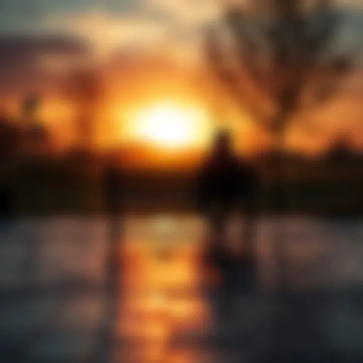 A person sitting alone on a bench, looking thoughtful with a sunset in the background, symbolizing contemplation and emotions.
