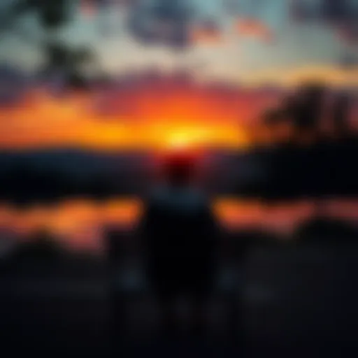 A person sitting on a bench, looking at a sunset, contemplating life experiences over the past five years.