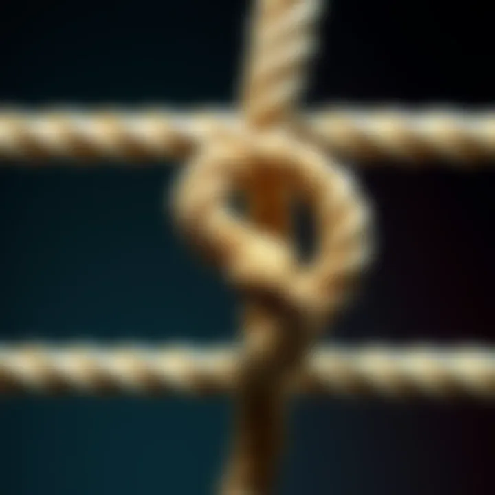 A close-up image showing a rope twisted in a way that resembles a snake, illustrating the concept of perception versus reality.