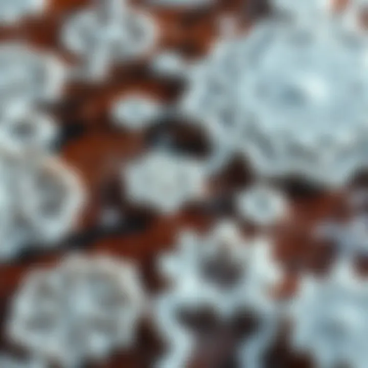 Strange Salt Patterns: What Do They Mean? : MysteryLores