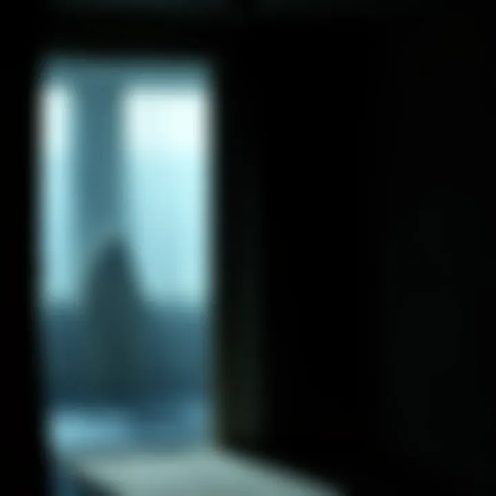 Strange Figure in Shadows A sandy-colored figure partially hidden in dark shadows at home, suggesting an unsettling presence.