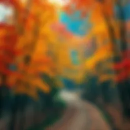 Seasonal Change A vibrant scene showing trees changing colors, representing autumn in 2026