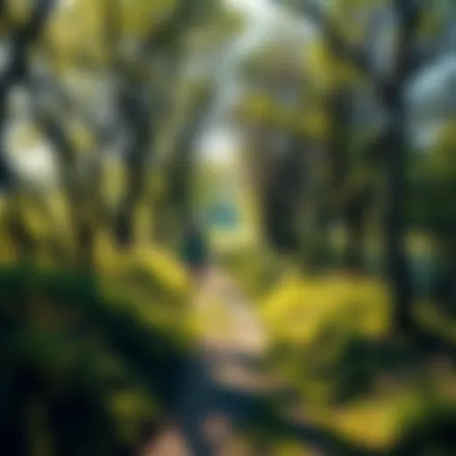 A person walking on a peaceful trail surrounded by trees and flowers, feeling connected to nature.