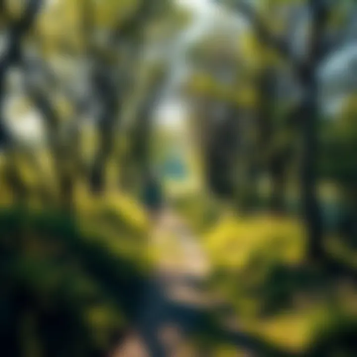 A person walking on a peaceful trail surrounded by trees and flowers, feeling connected to nature.