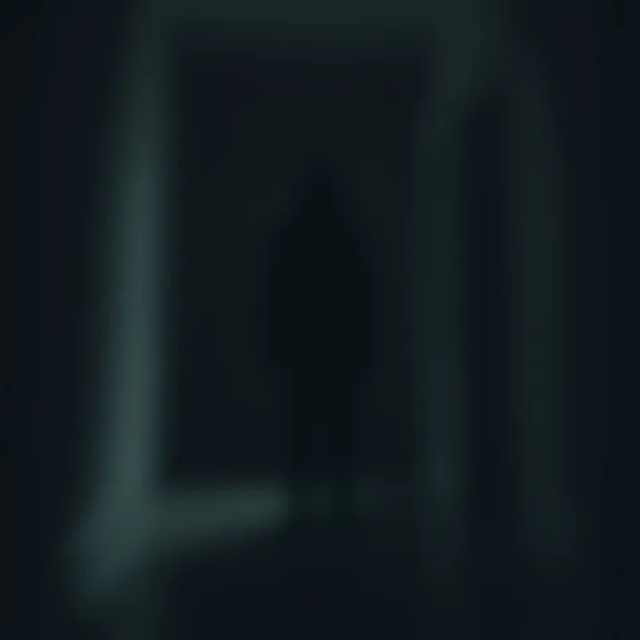 A dark silhouette resembling a person stands in a dimly lit room, evoking a sense of the paranormal.