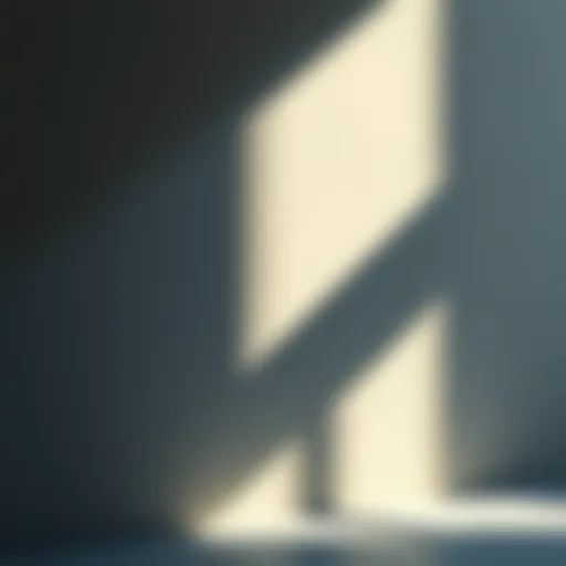 Shadow on a Wall A clear shadow cast on a wall, showing the shape of an object in the light