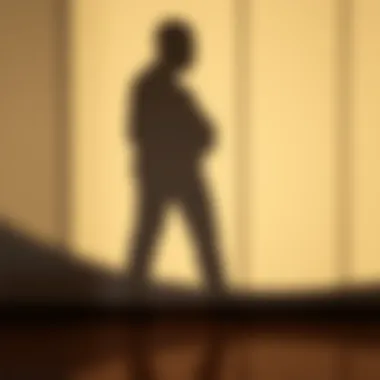 A full-body shadow cast against a wall, highlighting the shape and form created by light.