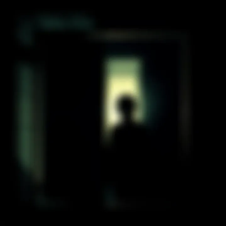 A dark silhouette of a figure standing by a window with a faint light shining through, evoking a sense of fear and uncertainty.