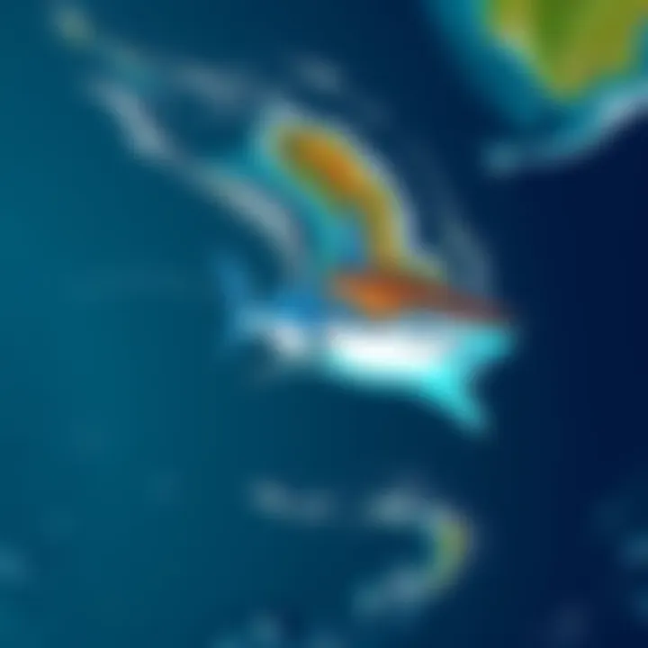 A visual of an abstract shark art piece in the Pacific Ocean, near San Francisco, hinting at local geography like the Red Triangle and Farallon Islands.