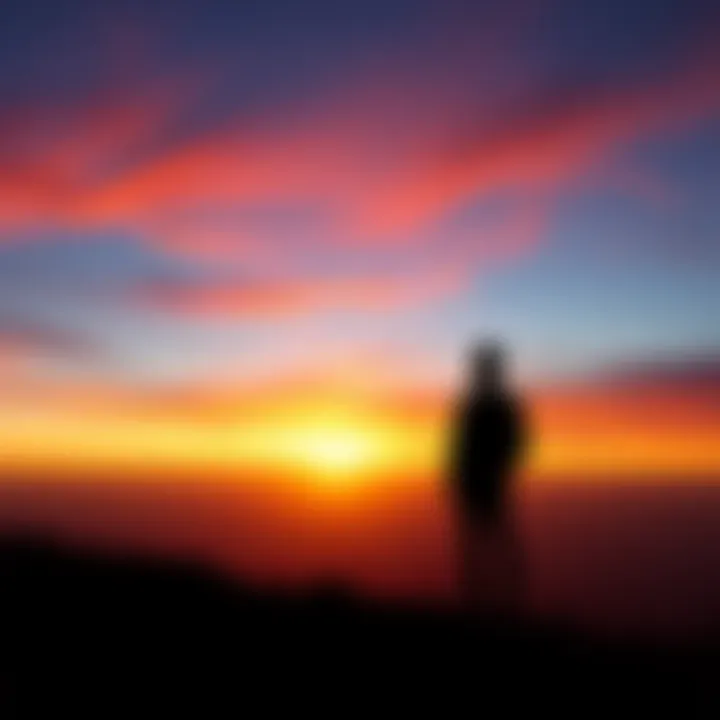 A silhouette of a person standing on a hill, looking out at a sunrise, symbolizing thought and selflessness.