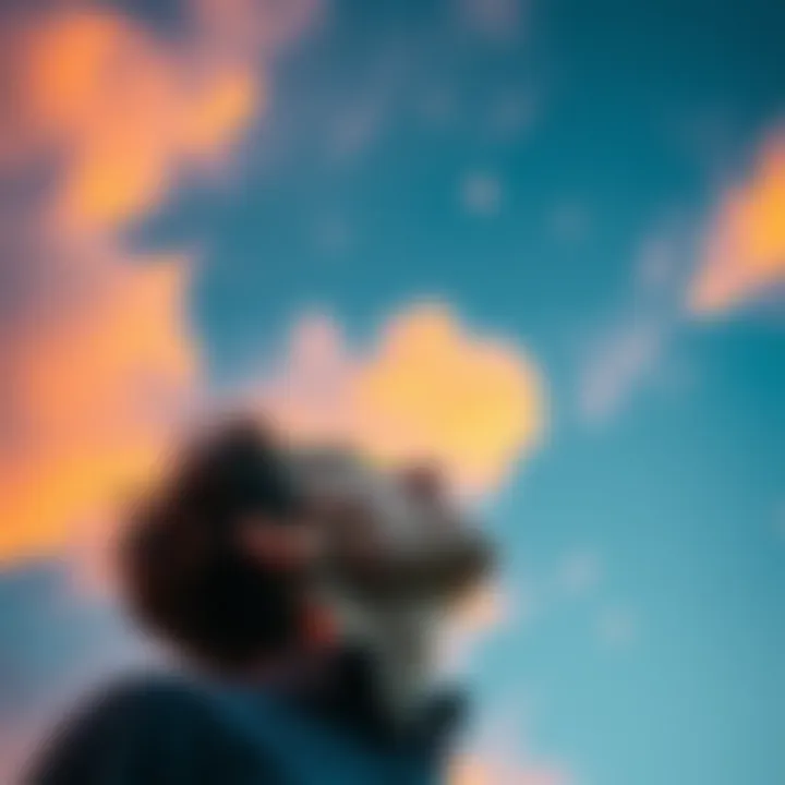 A person gazes up at the sky, pondering the existence of Non-Human Intelligence and the role of government narratives.