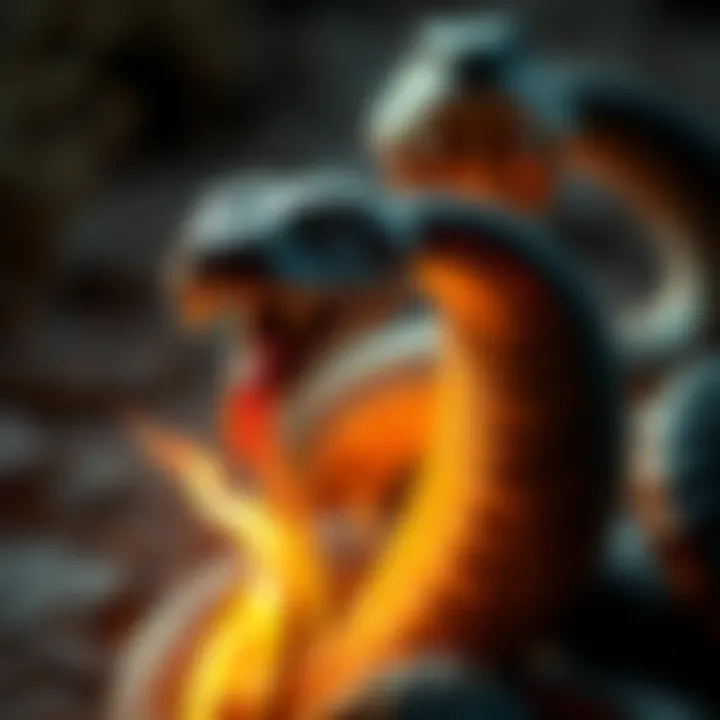 A depiction of a snake intertwined with ancient symbols representing divinity and chaos.