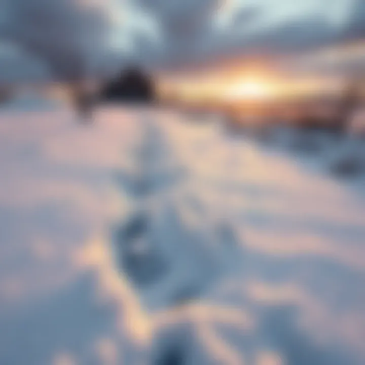 Large toe prints in the snow with distinct strides in a rural Arizona setting
