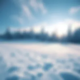 A serene view of a snow-covered field and trees, showing consistent snow patterns over time.