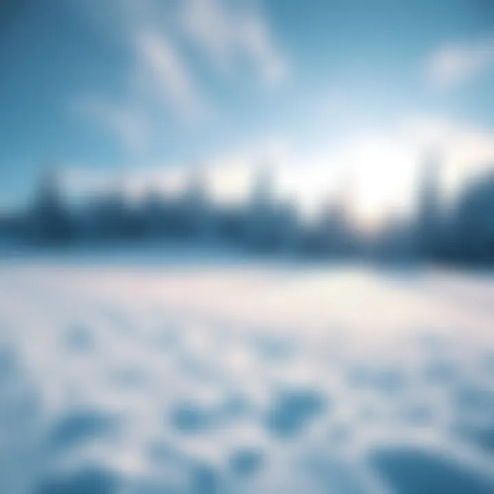 Snow-covered landscape A serene view of a snow-covered field and trees, showing consistent snow patterns over time.
