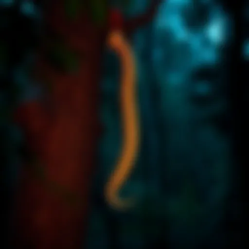 A human spine is seen hanging from a tree in the woods, surrounded by dark foliage and eerie shadows, suggesting a feeling of being watched.