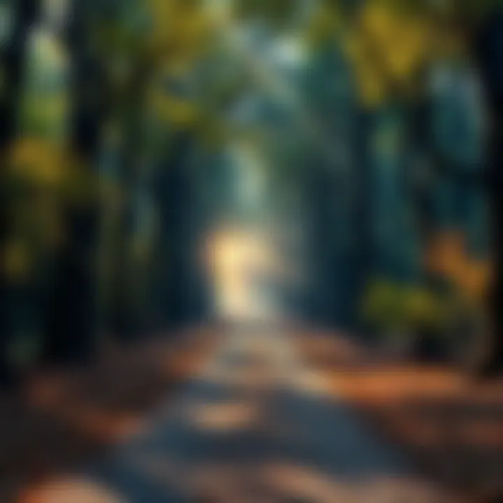 A serene pathway leading through a forest, symbolizing personal growth and discovery