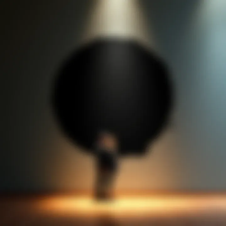 Strange dark circle on wall A couple standing near a wall with a dark, perfect circle that feels dry and sounds hollow when tapped