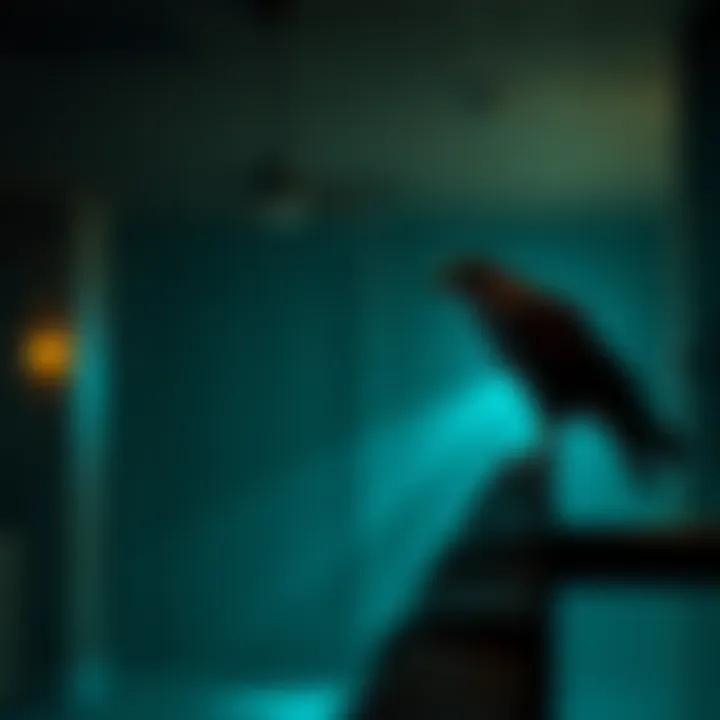 A dimly lit room with flickering lights and shadows, creating an eerie atmosphere. A large hawk perched on a nearby ledge.