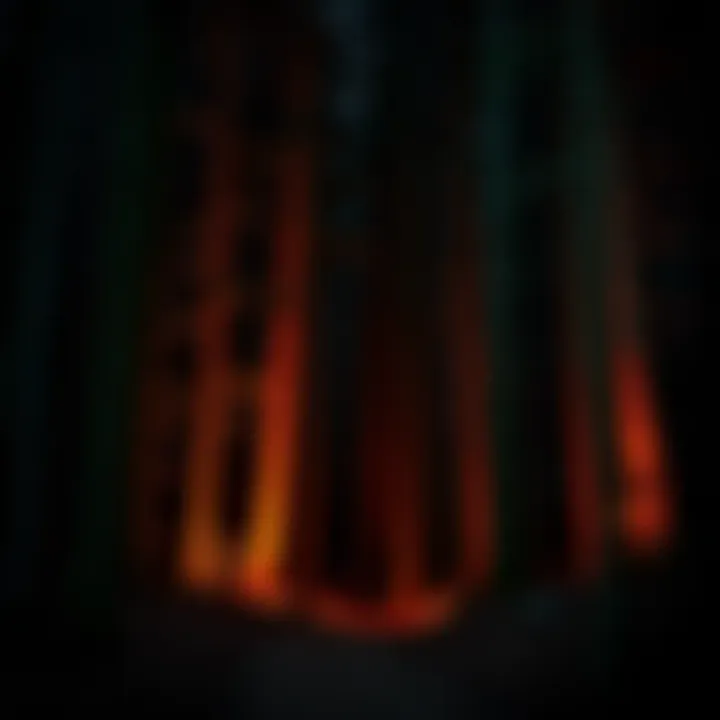 Filmmakers capturing unusual, glowing lights in a dark Oregon forest